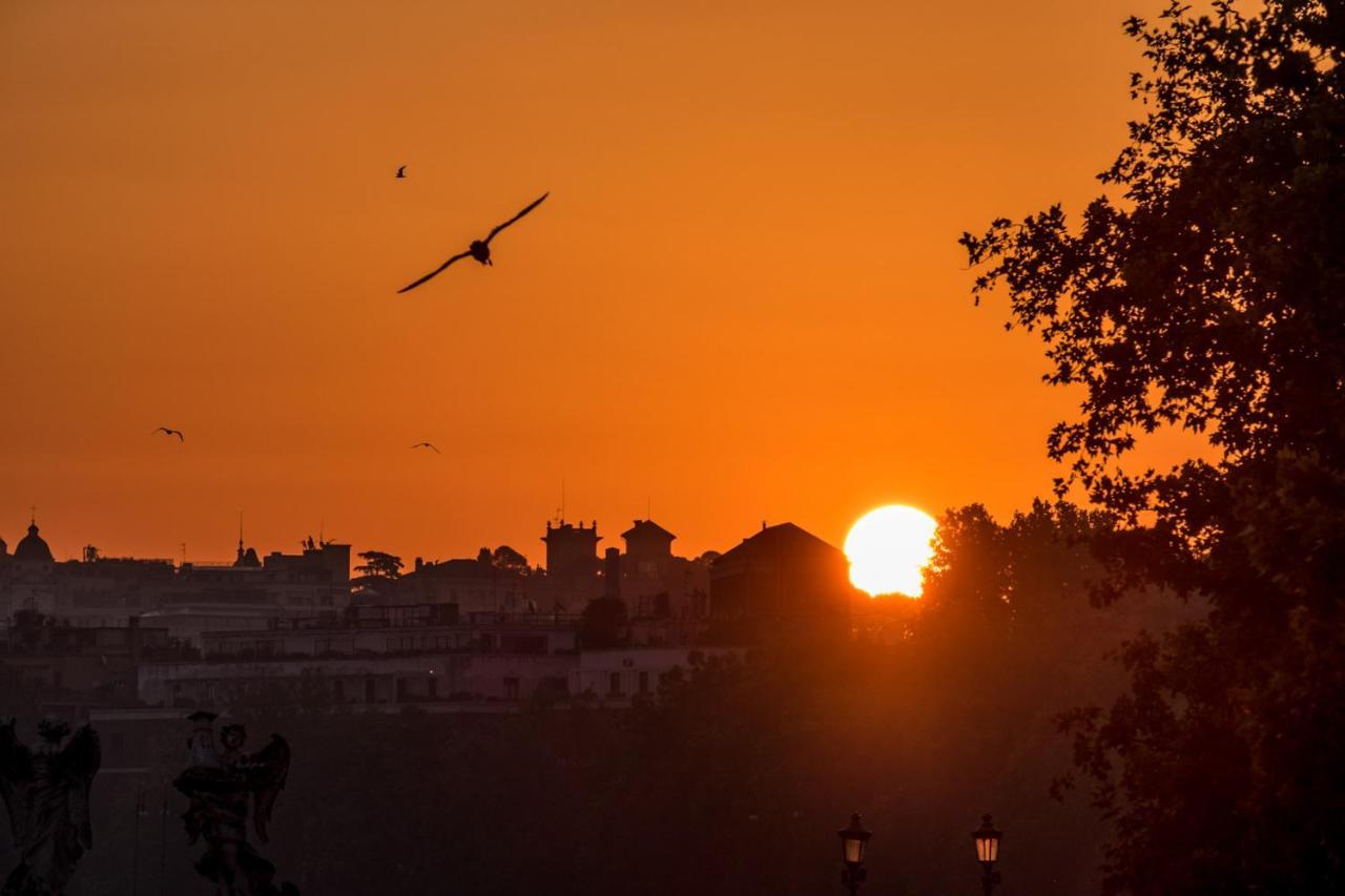 Otto Rooms & Photogallery Ρώμη Εξωτερικό φωτογραφία